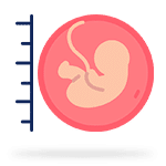 Biometria fetal avançada
